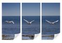 Poster autocollant - W - Le Vol du Cygne triptyque
