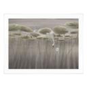 Poster lotusbloemen met zwaan in water in grijs - Ms Tiff