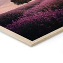 Cuadro de madera Campos de lavanda púrpura al atardecer - Cevik