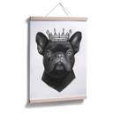 Plakat - Korenkova - King French Bulldog