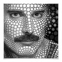 Poster Ben Heine - Circlism: Freddy Mercury