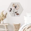 Hexagon Dibond Dried Flowers in Cream - Treechild