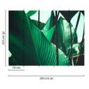 non-woven tapet Designwalls i grønt og sort non-woven tapet Leaf Stalks palm trees jungle