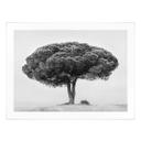 Póster Martin - Árbol en blanco y negro