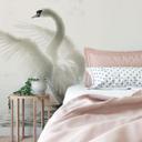 Fototapet - Elegant Svane