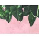 lyserødt og grønt non-woven tapet Designwalls Leaves Wall palmer jungle