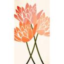 Papel pintado Flor de loto de colores - papel pintado floral - cubistika