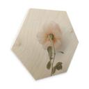 Hexagone - Bois Annie - Les roses
