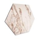 Hexagone - Tableau en alu-Dibond Graminées au soleil