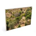 Cuadro de madera paisaje de sabana en Africa - Hugonnard