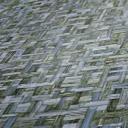 Architects Paper Jungle Chic - Papier peints effet bois, bleu
