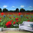 Fototapet med blomstereng og blå himmel Rød, Grøn, Blomstret 2,70 x 1,59 m