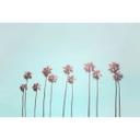 Livingwalls papier peint photo ARTist Tropical Trees