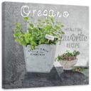 Canvasbillede, oregano køkkenurter