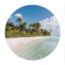 Póster Palm Beach en los Mares del Sur - Colombo - Redondo