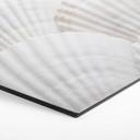 Hexagone - alu-Dibond 1X Studio - Coquillages