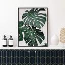 Plakat - Sisi & Seb - Monstera