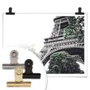 Póster Niebla en París