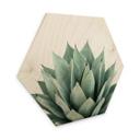 Hexagon Hout Sisi & Seb - Succulents