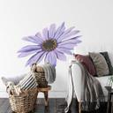 Sticker mural Marguerite - Violet
