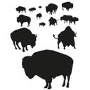 Buffalo flok