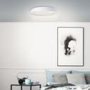 Wand- und Deckenleuchte Aurora, metallic/weiß, Ø 48,5 cm, Lampe