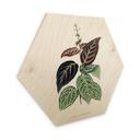 Sekskantet træ Illustration af blade - Bignonia Argyro Violascea