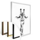 Plakat - Sisi & Seb - Happy Giraffe