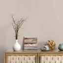 Vægfarve beige silkemat - COLOR Kitchen Pure Potato