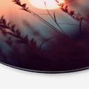 Billede Græsser i lyset af den glødende sol - Treechild - rund – print på aluminium (Alu-Dibond)