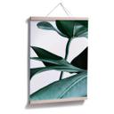 Plakat - Urban Jungle - Monstera Deliciosa