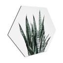 Hexagon Dibond Plante - Sisi & Seb