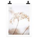 Póster 1X Studio - Rama con delicadas flores
