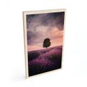 Cuadro de madera Campos de lavanda púrpura al atardecer - Cevik