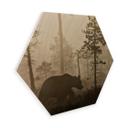 Hexagon Hout - Ove Linde - Foggy Morning