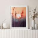 Plakat Græsser i lyset af den glødende sol - Treechild