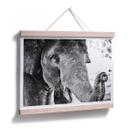 Póster Elefante indio