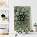 Billede af træ Agave 02