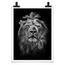 Póster León