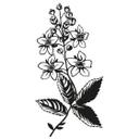 Blomster Gren 1