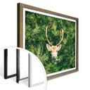 Póster Escondite en el bosque