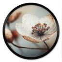 Plakat Boho tørret blomst makro - Treechild - Rund