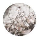 Plakat Annie - Wild Grass
