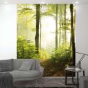 Skov ved solnedgang Tapet Fototapet Grøn,Blomst 2,70 x 2,12 m