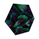 Hexagon Dibond Farverige jungleplanter - Paksoylu