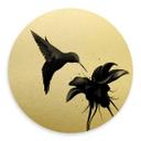 Alu-Dibond Rund Guldeffekt - Ireland - Hummingbird – print på aluminium (Alu-Dibond)