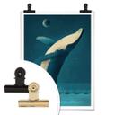 Plakat - Braun - Humpback Whale
