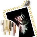 Plakat - Hugonnard - Wild Explosion: Antilope