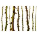 Architects Paper Papier peint photo Atelier 47 Blurred Thorns nature