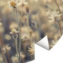 Fototapet - Rundt Mexican Daisy - vliesetapet/selvklæbende non-woven tapet